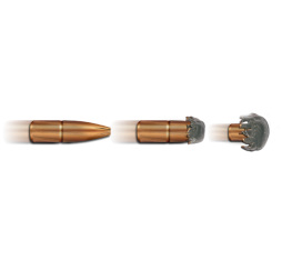 7x64 Plus TLM bonded 11g/170grs. Geco kaufen