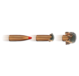 6,5 Creedmoor Express Tip 9,1g/140grs. Geco kaufen