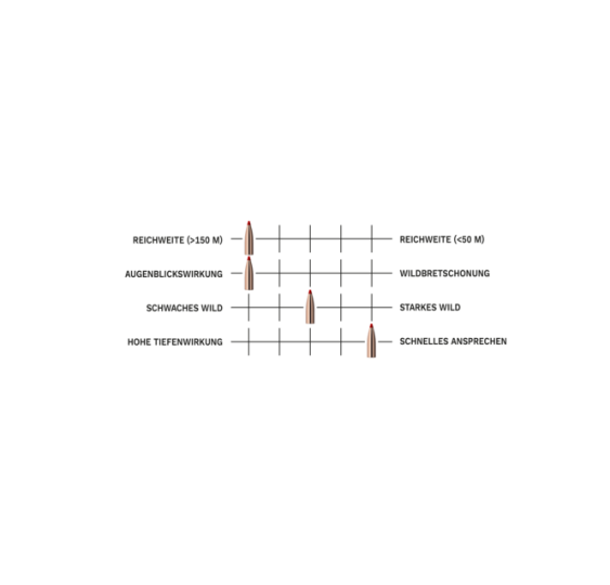 6,5x55 SE Express Tip 9,1g/140grs. Geco