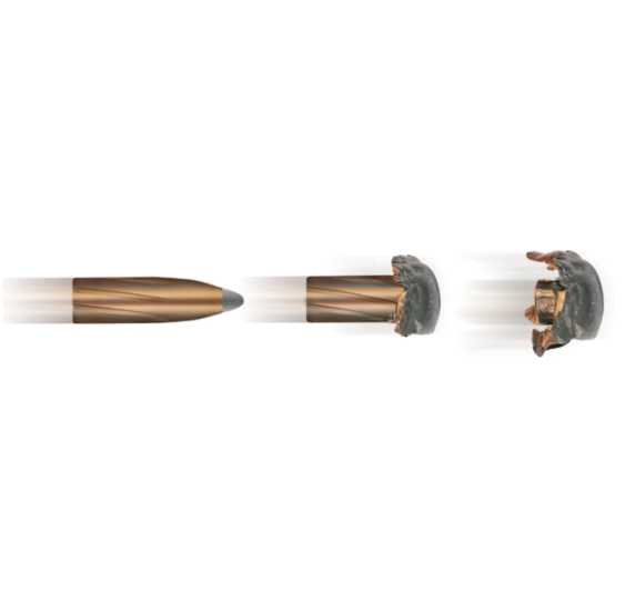 .270 Win. TLM 9,1g/140grs. Geco