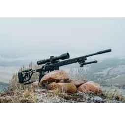 Tikka T3x ACE Target 308Win – Präzisionsgewehr kaufen