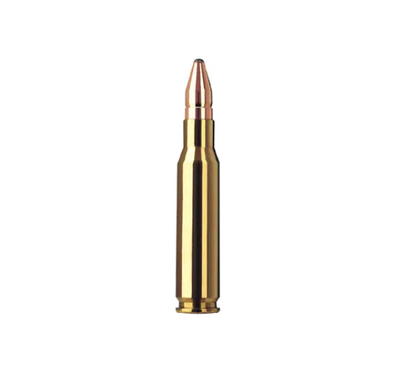 RWS .308 Win. Doppelkern 10,7g/165gr