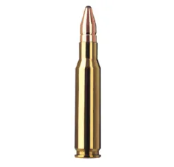 RWS .308 Win. DK 10,7g/165gr Jagdmunition kaufen