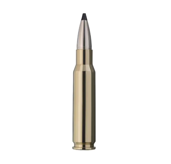 RWS .308 Win. SPEED TIP PROFESSIONAL 10,7g/165gr