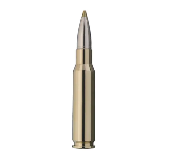 RWS .308 Win. EVOLUTION GREEN 9,0g/139gr