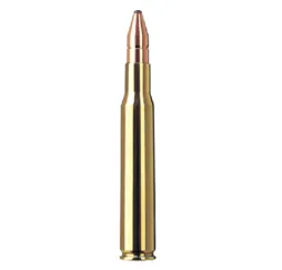 RWS .30-06 DK 10,7g/165gr Jagdmunition kaufen