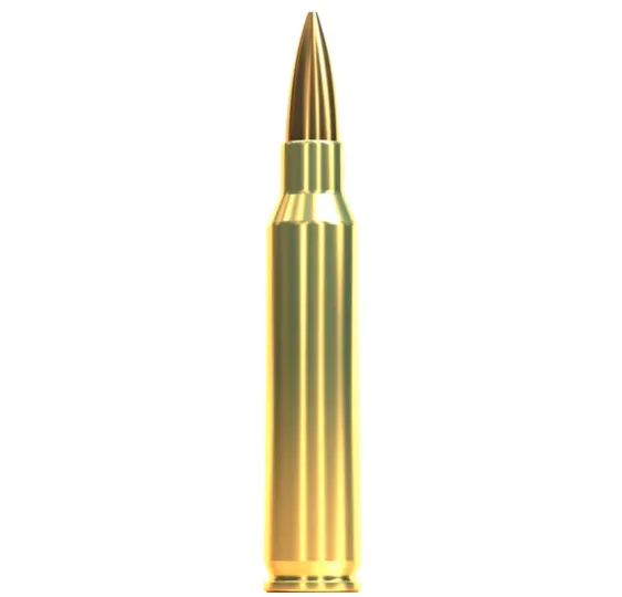 .223 Rem. OTM HPBT 69 grs. Sellier & Bellot