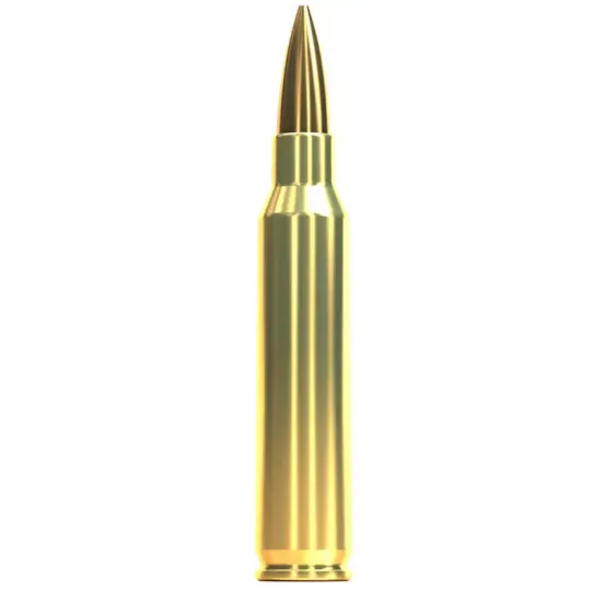 .223 Rem. OTM HPBT 52 grs. Sellier & Bellot