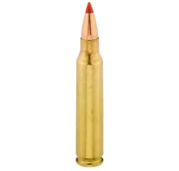 Hornady .223 Remington V-Max 55grs kaufen