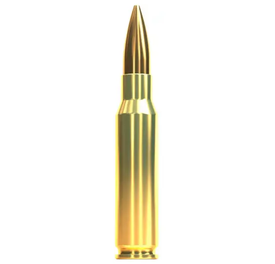 Sellier & Bellot .308 Win. OTM HPBT 10,9g/168grs.