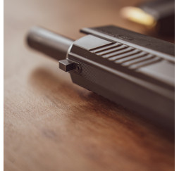 Pistole TAIPAN
