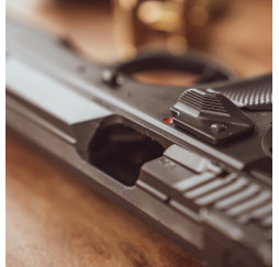 Pistole TAIPAN