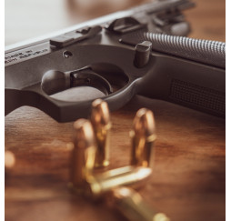 Pistole TAIPAN