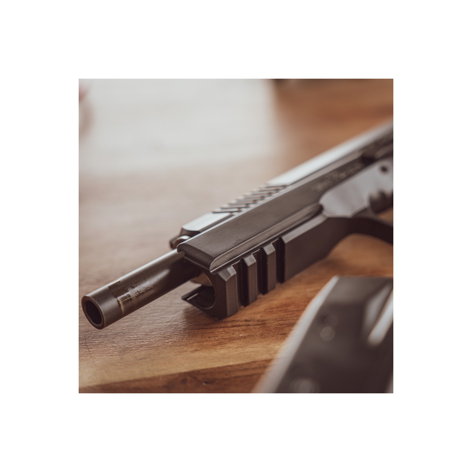 Pistole TAIPAN