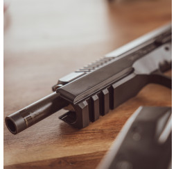 Pistole TAIPAN