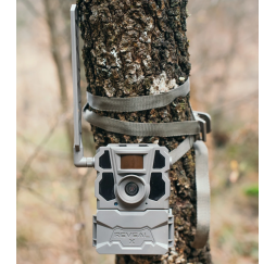 TACTACAM Wildkamera REVEAL X Gen 2.0 kaufen